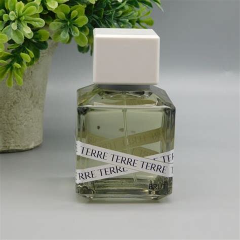 terre brut perfume